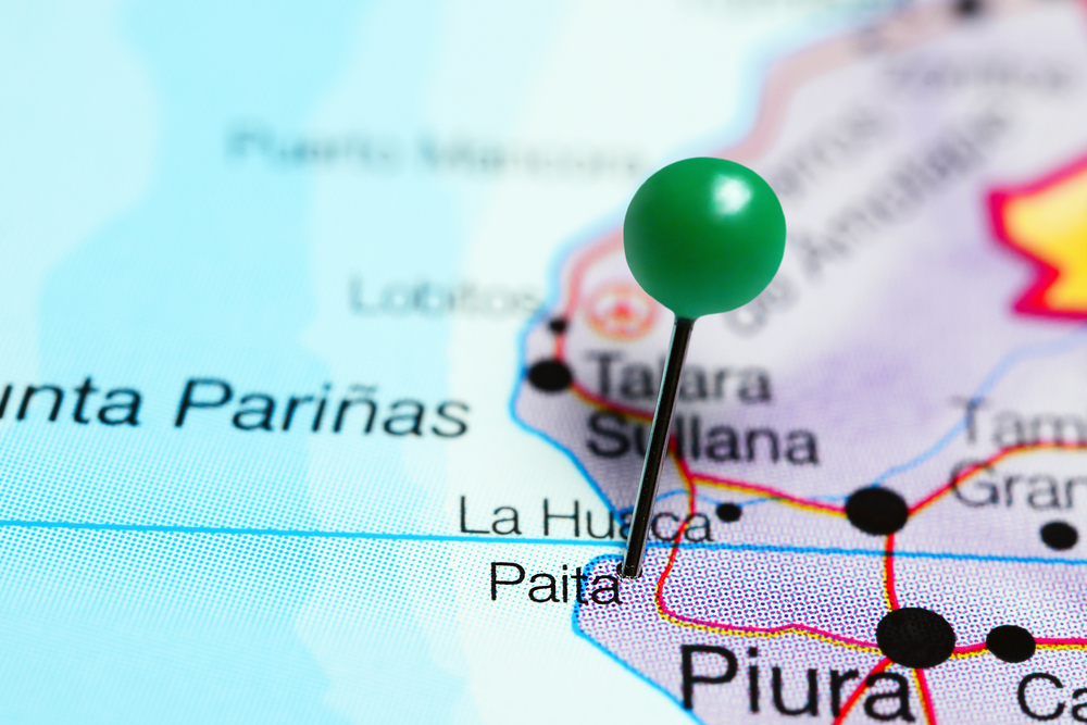 Paita